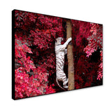 Beautiful White Tiger Realistic Wild Animal Painting