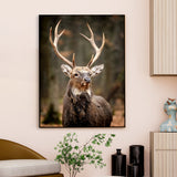 Stunning Red Deer Portrait Wildlife Painting