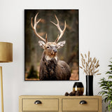 Stunning Red Deer Portrait Wildlife Painting