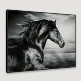 Ferocious Light- Canvas Print