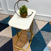 Suspended Styler Golden Metallic Side Coffee Table