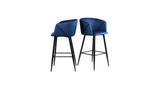 Blue Color Clea Counter Stool