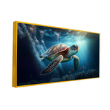 Sea Turtle Swimming Sea Beautiful Underwater Colorful Coral Wild Nature Pacific Ocean