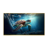 Sea Turtle Swimming Sea Beautiful Underwater Colorful Coral Wild Nature Pacific Ocean