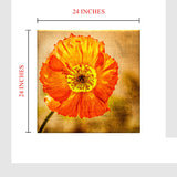 Exotic Blooms Unique Flower Paintings