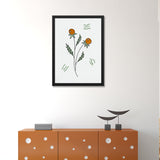 Green and Orange Botanical Photo Framed Wall Art for Home Décor