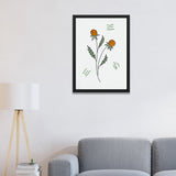 Green and Orange Botanical Photo Framed Wall Art for Home Décor