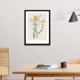 Tropical Art Floral Theme Frames for Home and Office Décor