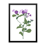 Floral Theme Wall Art Framed for Home and Office Décor
