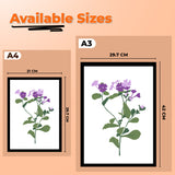 Floral Theme Wall Art Framed for Home and Office Décor