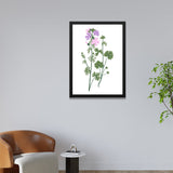 Wildflower Botanical Decorative Black Framed Wall Art Painting
