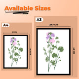 Wildflower Botanical Decorative Black Framed Wall Art Painting