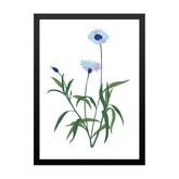 Delicate Blue Floral Botanical Prints Wall Art Painting with Black Frame