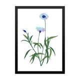 Delicate Blue Floral Botanical Prints Wall Art Painting with Black Frame