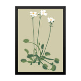 Delicate White Floral Botanical Prints Wall Art Painting with Black Frame