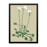 Delicate White Floral Botanical Prints Wall Art Painting with Black Frame