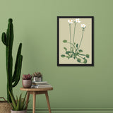 Delicate White Floral Botanical Prints Wall Art Painting with Black Frame