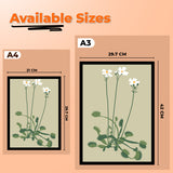 Delicate White Floral Botanical Prints Wall Art Painting with Black Frame