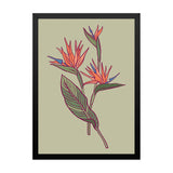 Coral Splash Fine Wall Art Framed Painting/Poster for Home and Office Décor