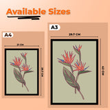 Coral Splash Fine Wall Art Framed Painting/Poster for Home and Office Décor