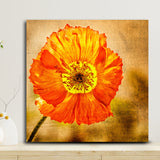 Exotic Blooms Unique Flower Paintings