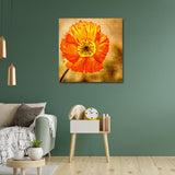 Exotic Blooms Unique Flower Paintings