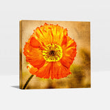 Exotic Blooms Unique Flower Paintings