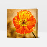 Exotic Blooms Unique Flower Paintings