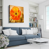 Exotic Blooms Unique Flower Paintings