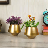 Wine Shape table Top Planter Set of 2