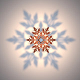 Magical Cotyledons Ceiling Shadow Light