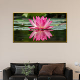 Tranquil Pink Water Lily Lotus Canvas Wall Painting for Wall Décor