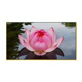 Pink Water Lily Vastu Canvas Wall Art Painting for Home Décor