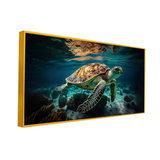 Green Sea Turtle Swimming Coral Canvas Wall Paintings & Art