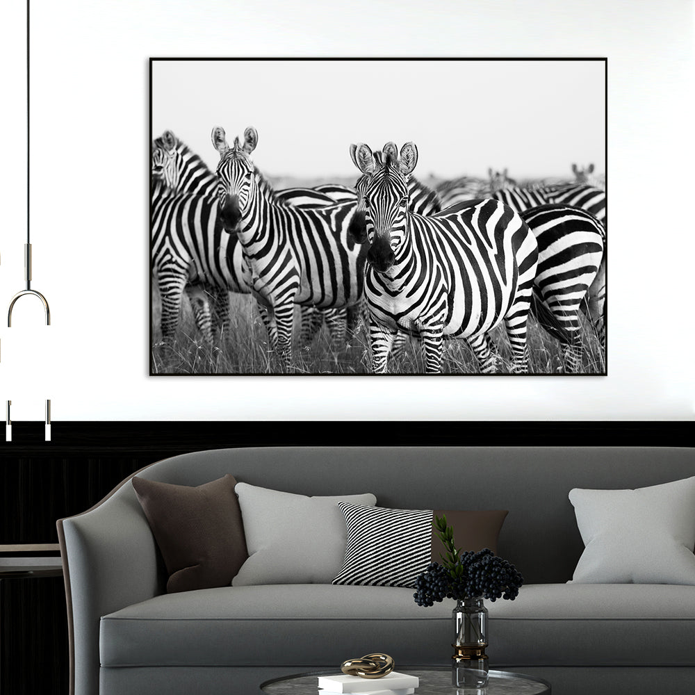 Monochromatic Zebra Wildlife Painting