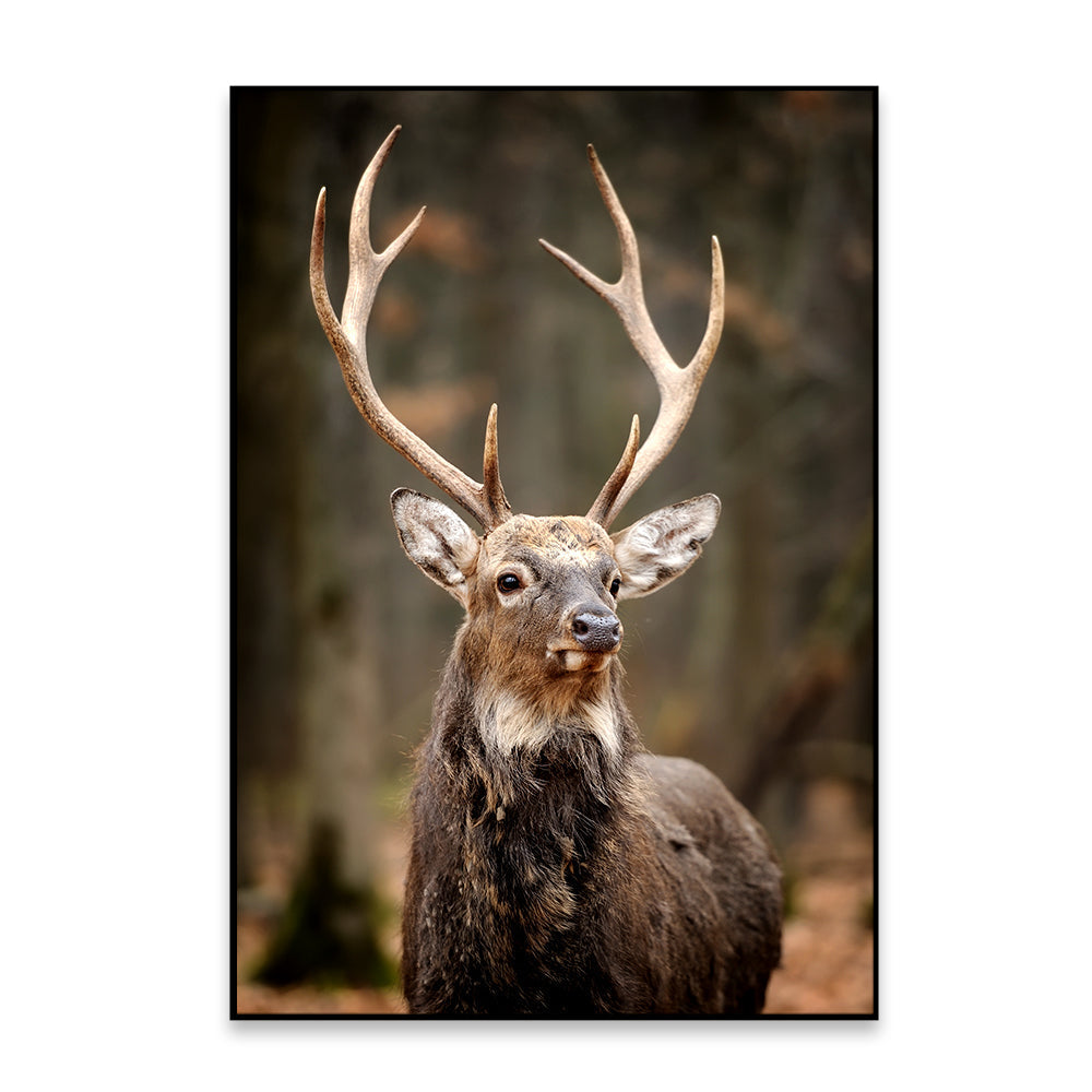 Stunning Red Deer Portrait Wildlife Painting