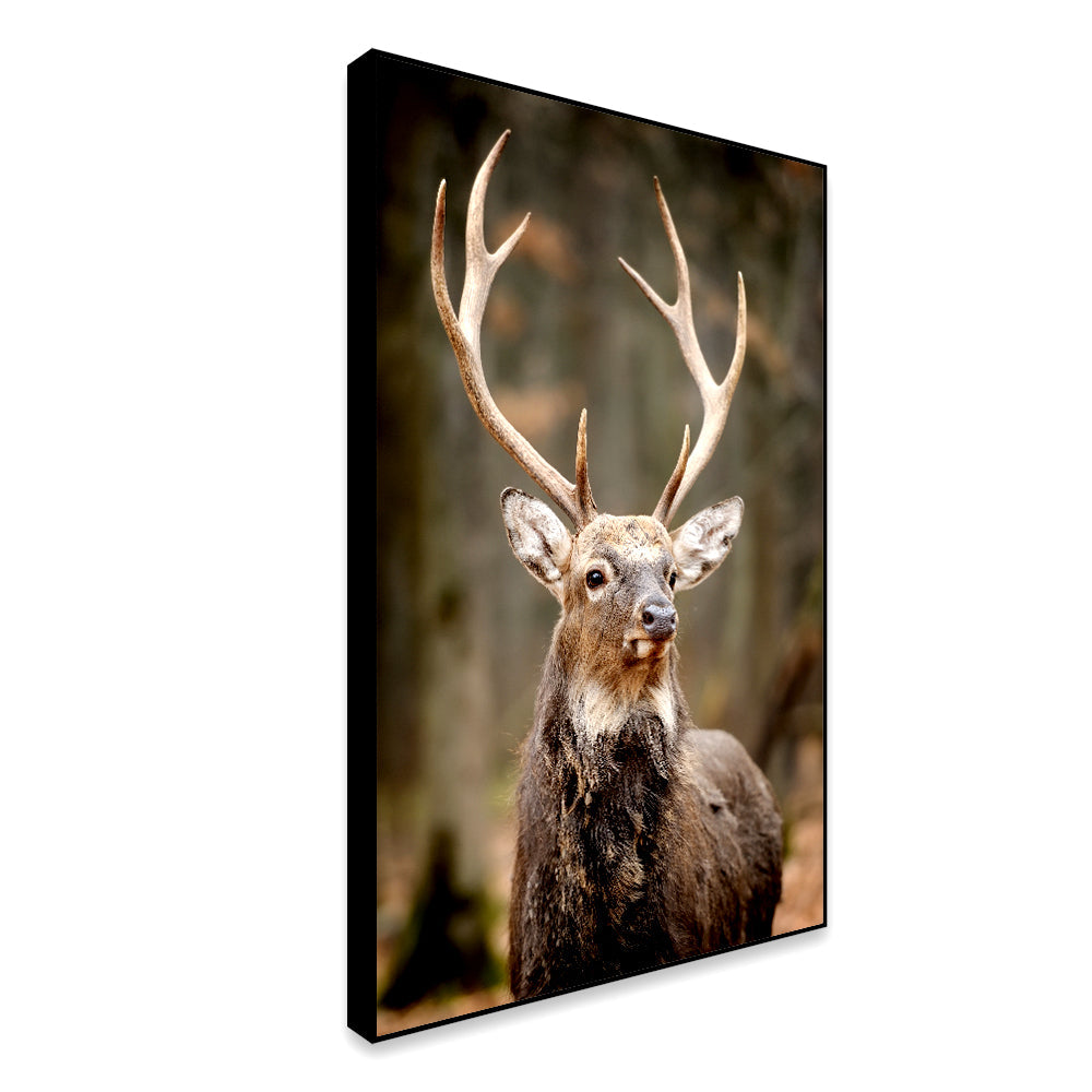 Stunning Red Deer Portrait Wildlife Painting