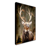 Stunning Red Deer Portrait Wildlife Painting