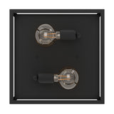 2 Bulb Steel Ceiling Light With Black Clear Glass