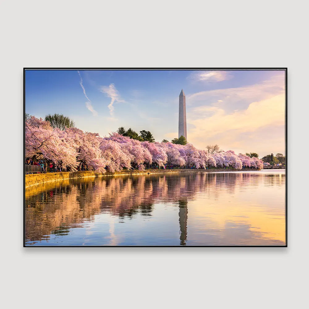 Delightful Tidal Basin of Washington Framed Wall Art
