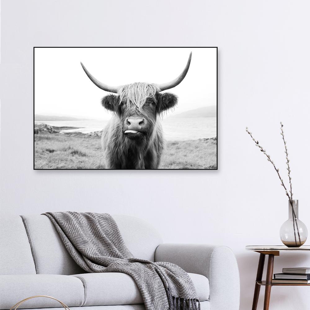 Scottish Highland cattle Framed Wall art