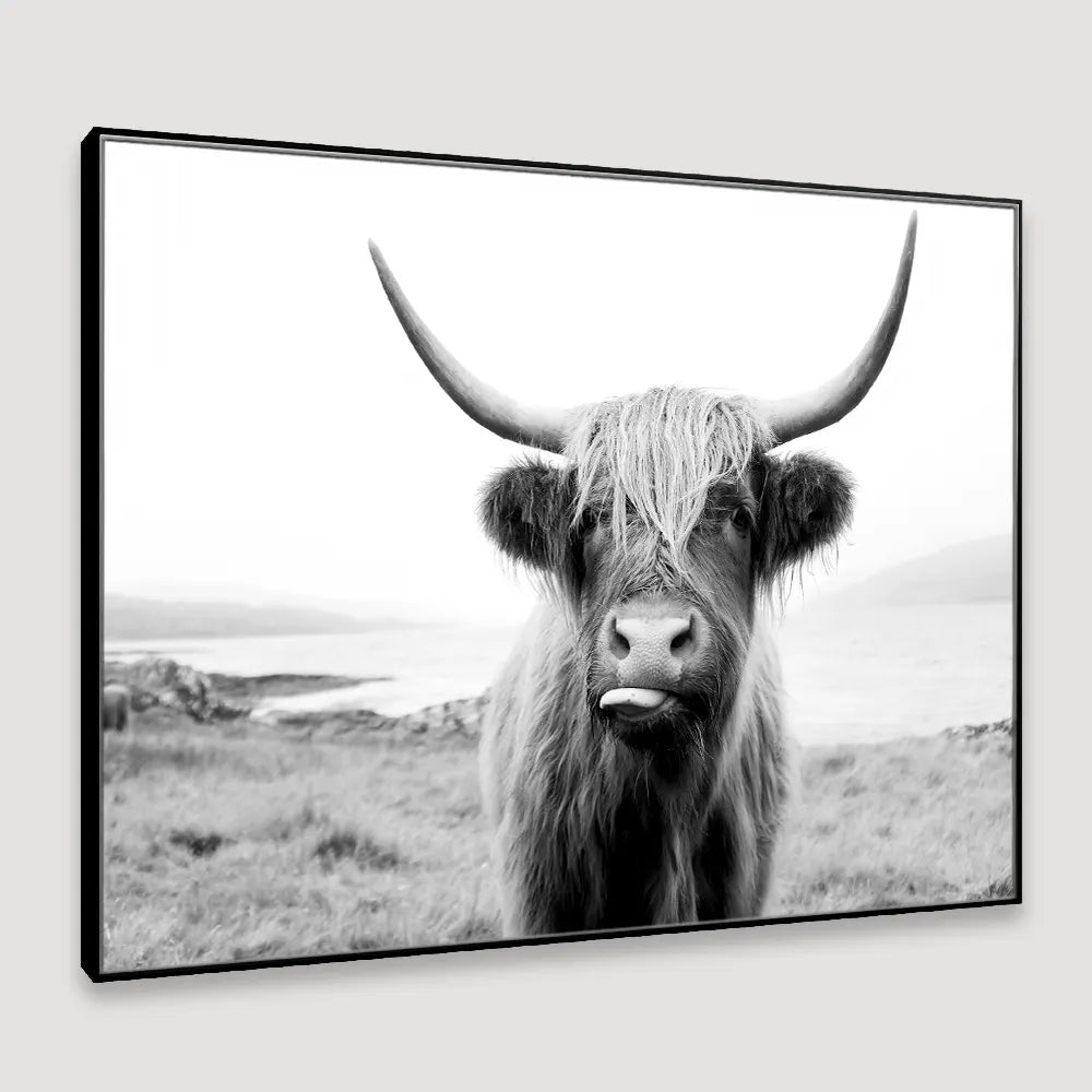 Scottish Highland cattle Framed Wall art