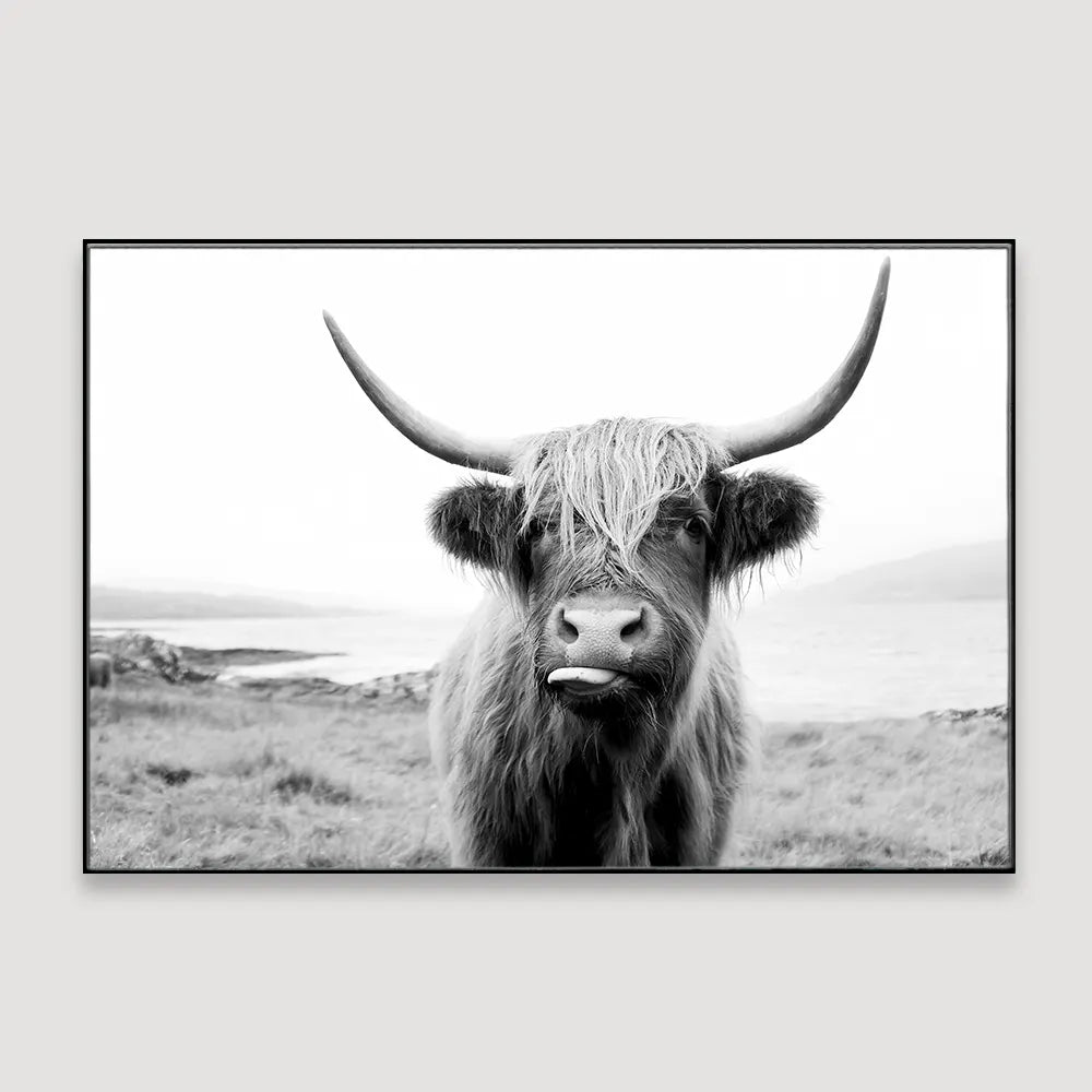 Scottish Highland cattle Framed Wall art