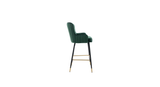 Beautiful Green Color Nolen Bar Stool