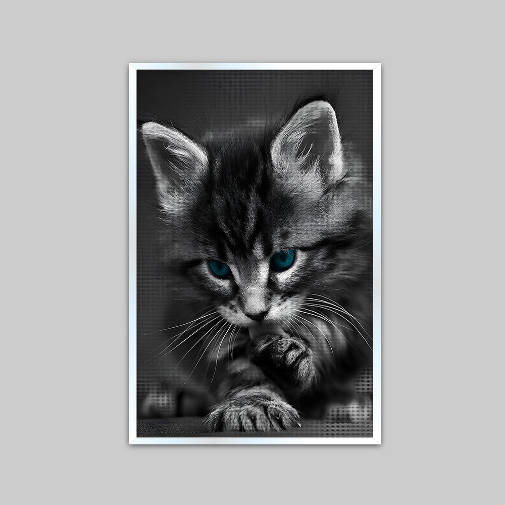 Beautiful Blue Eyed Baby Cat Home Office Decorative Canvas  Wall Paintings