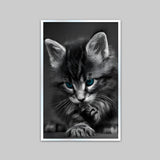 Beautiful Blue Eyed Baby Cat Home Office Decorative Canvas  Wall Paintings