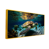 Green Sea Turtle Swimming Coral Beautiful Clear Canvas Wall Paintings