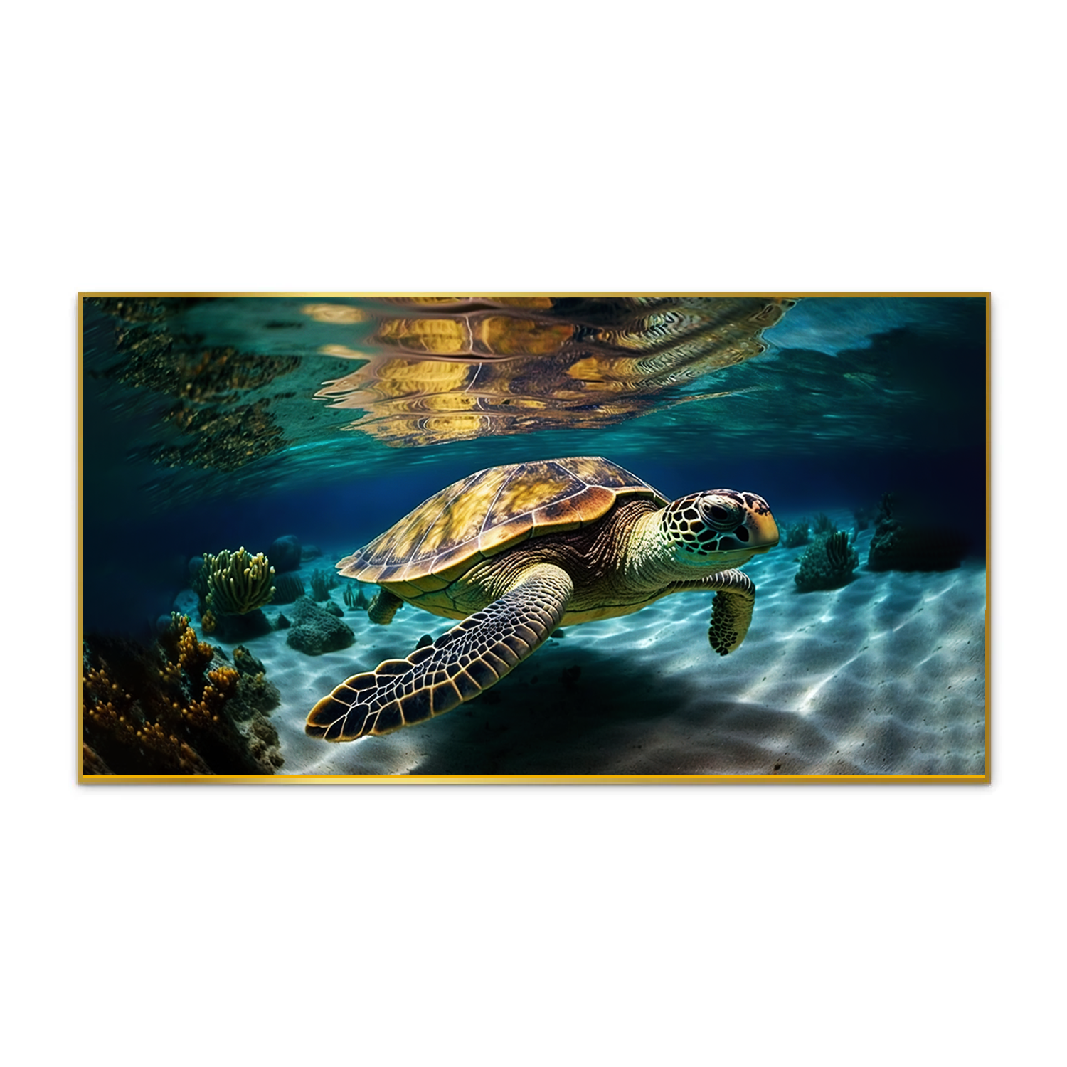 Green Sea Turtle Swimming Coral Beautiful Clear Canvas Wall Paintings
