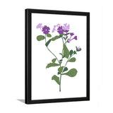 Floral Theme Wall Art Framed for Home and Office Décor