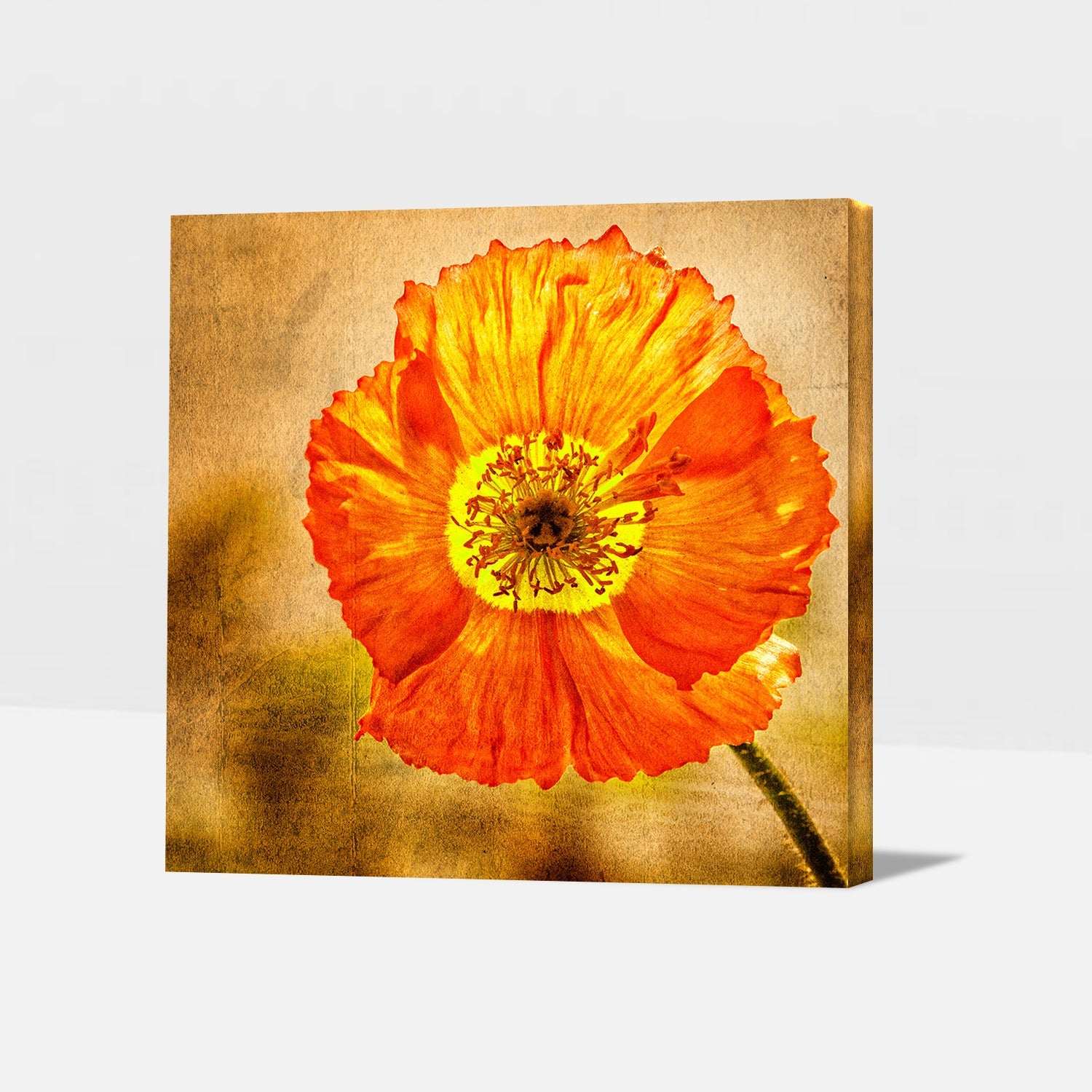 Exotic Blooms Unique Flower Paintings